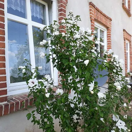 Im Gutshaus Alt Krassow Inmitten Der Apartment *